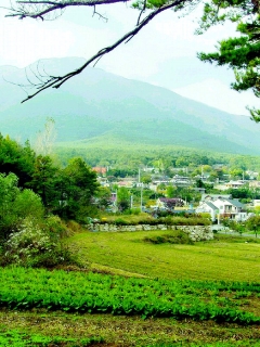 고려때 다촌으로 기록에 남은 통도사 북쪽 동을산(현재의 영취산)자락 지산마을.