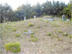 택민국학연구원 학술조사단과 김광순 원장이 문헌연구를 통해 밝혀낸 군위군 의흥 조림산 신남촌에 있는 엄흥도의 묘. 위의 것이 엄흥도의 묘이며 아래는 가묘다.(택민국학연구원 제공)2